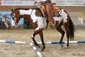 25-APHA AT_064